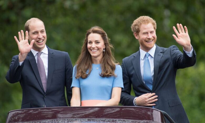 Prince William Reached Breaking Point After Prince Harry's Claims About Princess Kate