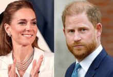 Prince Harry's Comment About King Charles Health Reportedly Changed Princess Kate's View