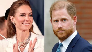 Prince Harry's Comment About King Charles Health Reportedly Changed Princess Kate's View