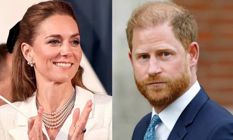 Prince Harry's Comment About King Charles Health Reportedly Changed Princess Kate's View