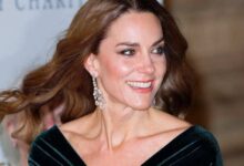 Princess Kate Declared Monarchy's Saving Grace As Royal Experts Praise Her Remarkable Rise