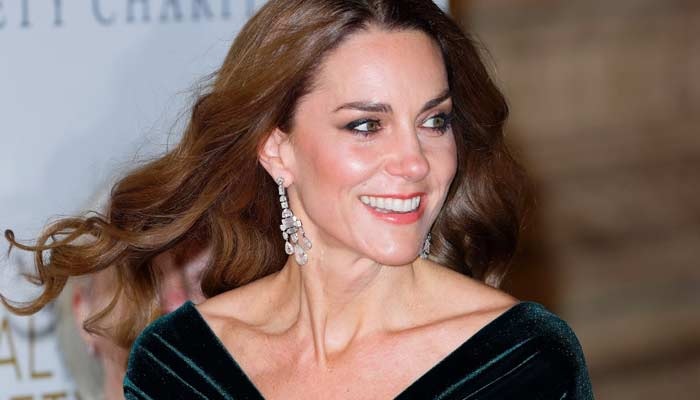 Princess Kate Declared Monarchy's Saving Grace As Royal Experts Praise Her Remarkable Rise
