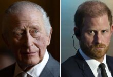 King Charles Sends Emotional Message To Prince Harry As Reconciliation Hopes Grow