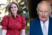 Princess Beatrice Makes Confident Return As New Questions Surround Royal Support