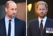 Prince William And Prince Harry Forced Into Rare Alliance Despite Ongoing Royal Rift