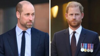 Prince William And Prince Harry Forced Into Rare Alliance Despite Ongoing Royal Rift