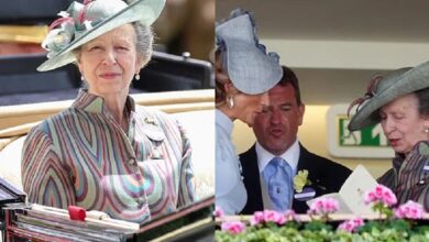 Princess Anne Leads Family Gathering At Royal Ascot With Eye Catching Appearance