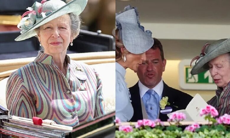 Princess Anne Leads Family Gathering At Royal Ascot With Eye Catching Appearance