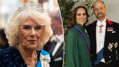 Queen Camilla Expands Inner Circle As Prince William And Princess Kate Gain Greater Palace Influence