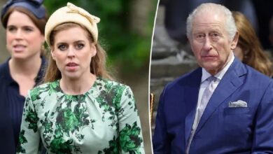 Princess Beatrice Takes Bold Step After King Charles Tough Royal Decision
