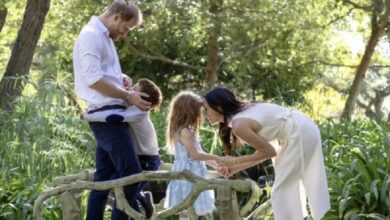 Royal Family Shares First Update After Archie And Lilibet UK Visit Reports Spark Excitement