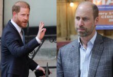 Prince William Holds Key Talks As Prince Harry Uk Return Sparks Renewed Attention