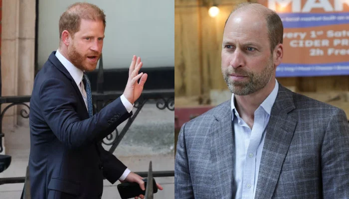 Prince William Holds Key Talks As Prince Harry Uk Return Sparks Renewed Attention