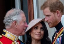 King Charles Secret Deal With Prince Harry And Meghan Markle Sparks Royal Reunion Buzz