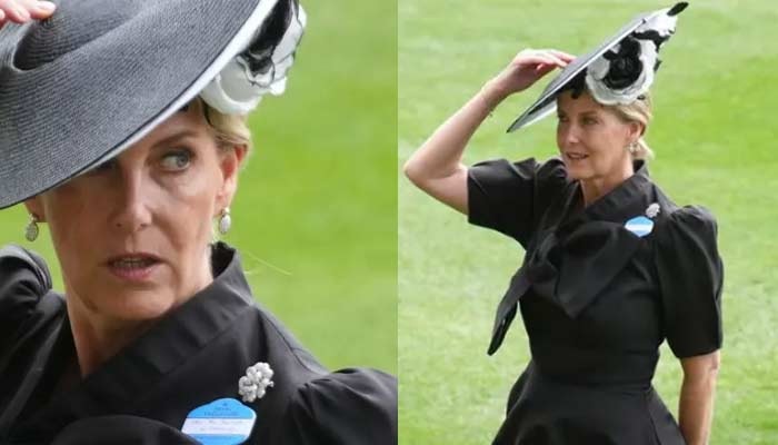 Duchess Sophie Gesture To King Charles Highlights Strong Royal Bond At Royal Ascot