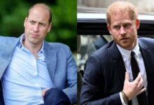 Prince William Sends Fresh Message To Prince Harry Ahead Of UK Return Plans
