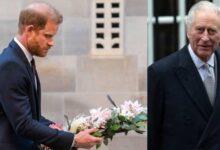 Palace Reportedly Offers Royal Residence To Prince Harry And Meghan Markle Ahead Of UK Visit