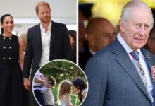 Prince Harry Wants Archie And Lilibet To Connect With Princess Diana Legacy