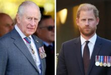 King Charles Makes Difficult Decision Ahead Of Prince Harry UK Return