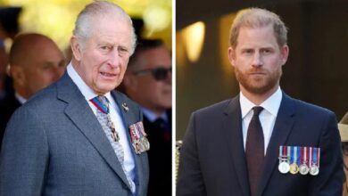 King Charles Makes Difficult Decision Ahead Of Prince Harry UK Return