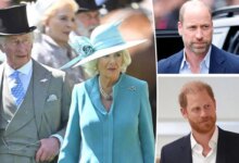 Queen Camilla And Prince William Reportedly Oppose Prince Harry Reunion Plans
