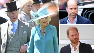 Queen Camilla And Prince William Reportedly Oppose Prince Harry Reunion Plans