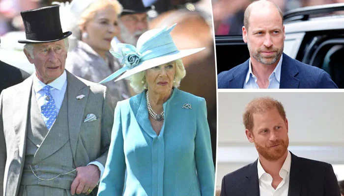 Queen Camilla And Prince William Reportedly Oppose Prince Harry Reunion Plans