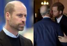 Prince William Drops Bombshell Over King Charles and Prince Harry Meeting