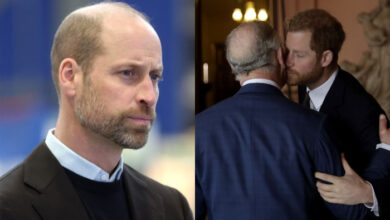 Prince William Drops Bombshell Over King Charles and Prince Harry Meeting