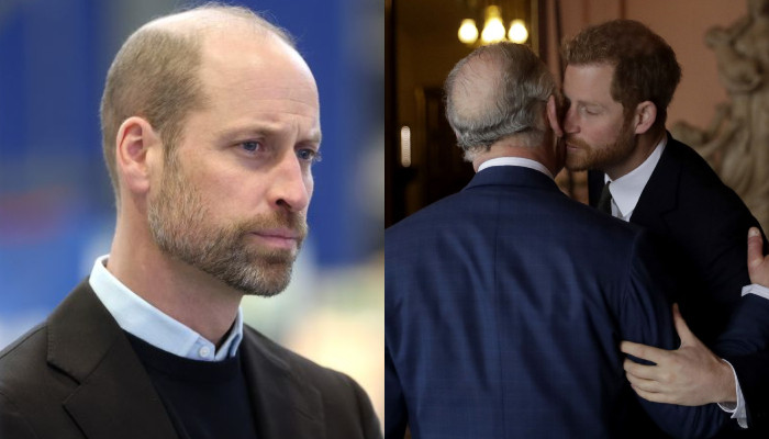 Prince William Drops Bombshell Over King Charles and Prince Harry Meeting