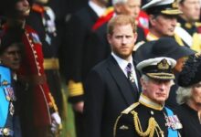 Prince Harry Team Holds Crucial Meeting as King Charles Opens Palace Doors