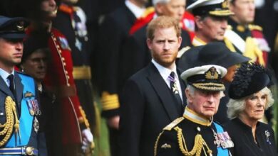 Prince Harry Team Holds Crucial Meeting as King Charles Opens Palace Doors