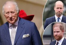 King Charles Takes Careful Approach as Prince William Tensions Rise Before Prince Harry Reunion