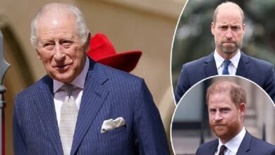 King Charles Takes Careful Approach as Prince William Tensions Rise Before Prince Harry Reunion