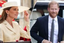 Prince Harry Makes Surprising Comment About Kate Middleton Amid Royal Feud
