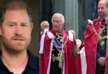 Prince Harry Supports King Charles and Prince William in New Climate Message