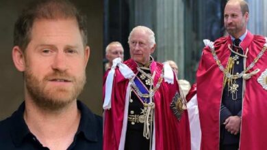 Prince Harry Supports King Charles and Prince William in New Climate Message