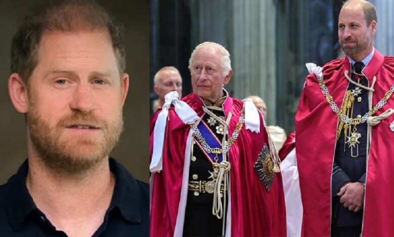 Prince Harry Supports King Charles and Prince William in New Climate Message