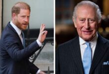 Prince Harry Agrees to Important Agreement Ahead of UK Return With Meghan Markle and Children