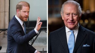 Prince Harry Agrees to Important Agreement Ahead of UK Return With Meghan Markle and Children