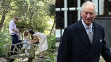 King Charles Expected to Reunite With Archie and Lilibet During Sussex UK Return