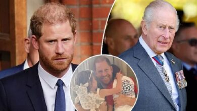 Prince Harry Reportedly Reconsider Plans to Bring Meghan Markle and Children to UK