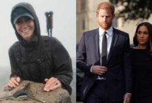 Princess Kate’s Emotional Appeal Overshadows Prince Harry and Meghan Markle UK Buzz