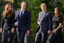 Meghan Markle Sparked a Reaction After Her Involvement May Have Complicated Prince Harry Reconciliation