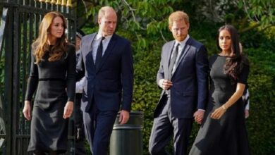 Meghan Markle Sparked a Reaction After Her Involvement May Have Complicated Prince Harry Reconciliation