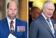 Prince William Focuses on Major Mission Amid Prince Harry and King Charles Tensions