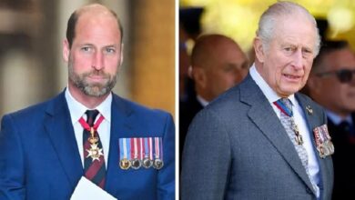 Prince William Focuses on Major Mission Amid Prince Harry and King Charles Tensions