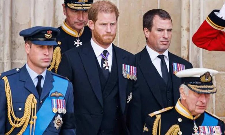 Prince William and Prince Harry’s Former Aide Speaks Out on Ongoing Royal Rift
