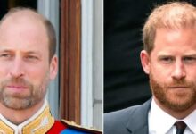 Prince Harry Believes Public Does Not Know the Real Prince William