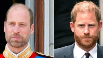 Prince Harry Believes Public Does Not Know the Real Prince William